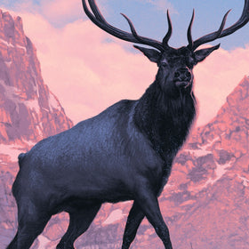 The Fifty-Nine Parks Print Series