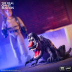 The Real Ghostbusters - Ray and Mr. Ghash Collector's Pack - Timed Edition