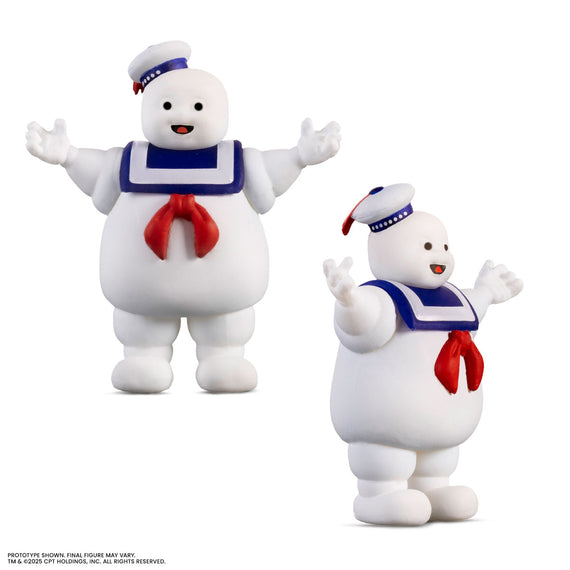 The Real Ghostbusters - Ray and Mr. Ghash Collector's Pack - Timed Edition