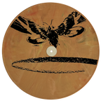 Godzilla vs Mothra: The Battle For Earth