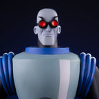 Batman: The Animated Series - Mr. Freeze 1/6 Scale Figure Exclusive