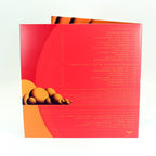 The Visitor Original Motion Picture Soundtrack 2XLP