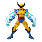 Wolverine 1/6 Scale Figure