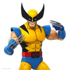 Wolverine 1/6 Scale Figure