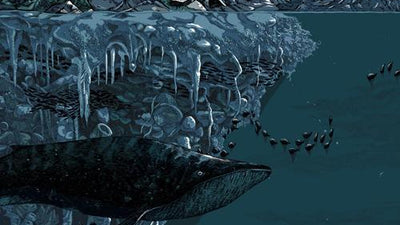 THE SECRET OF KELLS and SONG OF THE SEA by Jessica Seamans!