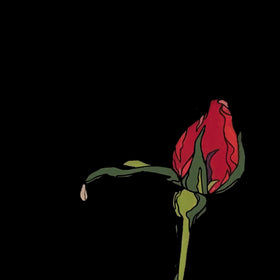 ALL THE FLOWERS AT MY FUNERAL