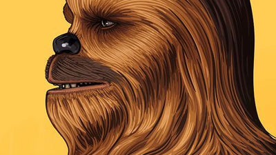 STAR WARS: Han Solo & Chewbacca by Mike Mitchell