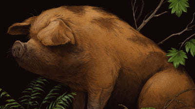 PIG by Teagan White (On Sale Info)