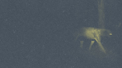 Music Weekly: SILENT HILL 3 & 4: THE ROOM and THE MEDIUM Original Soundtracks