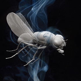 Exclusive Colored Vinyl