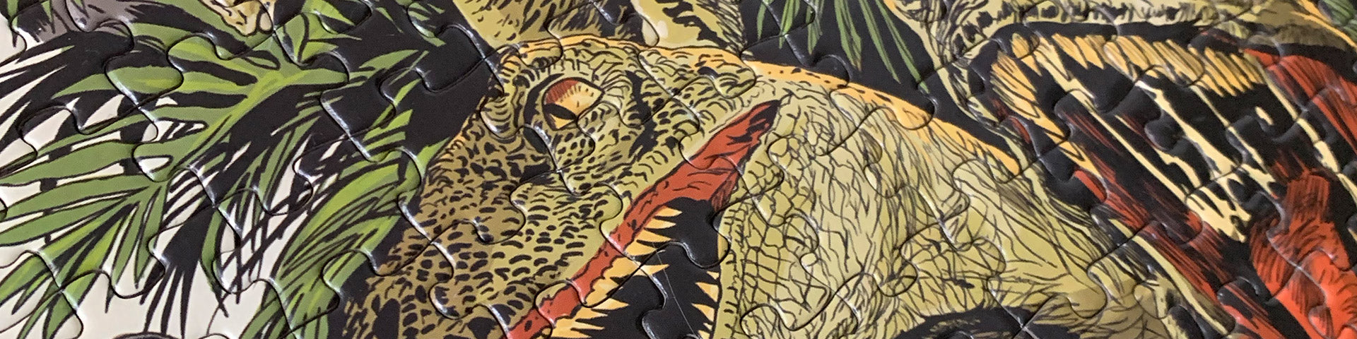 Puzzle Party Collection