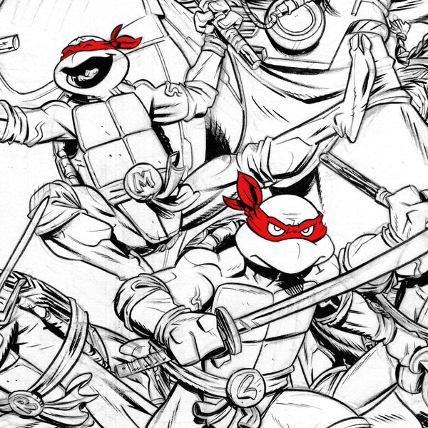 Teenage Mutant Ninja Turtles Mirage Variant Poster