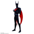 Batman Beyond - Terry 1/6 Scale Figure