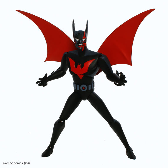 Batman Beyond - Terry 1/6 Scale Figure - Exclusive