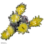 Godzilla and Hedorah Soft Vinyl Figure Set -  Godzilla vs The Smog Monster