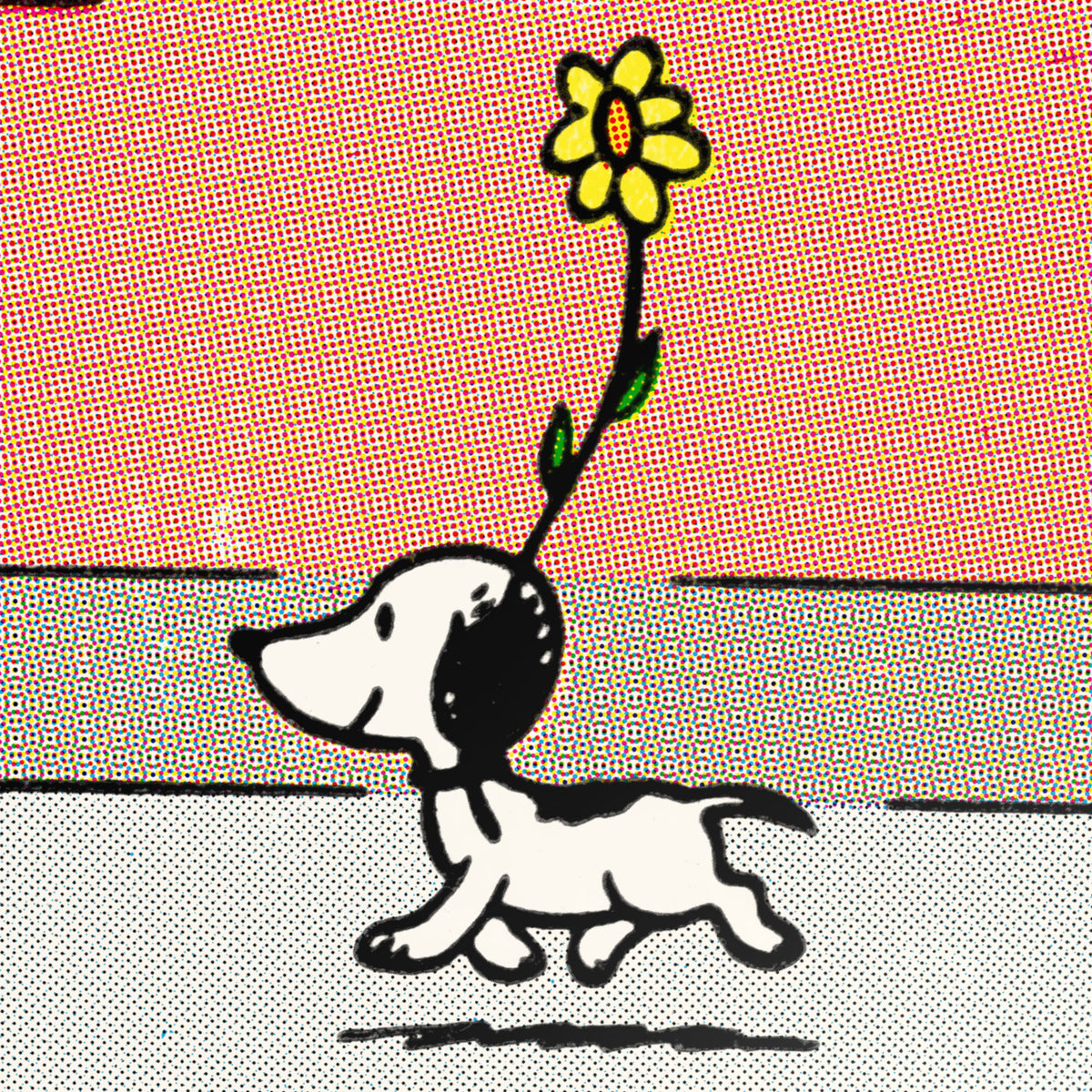 First Snoopy Peanuts First Appearance of Snoopy Poster – Mondo