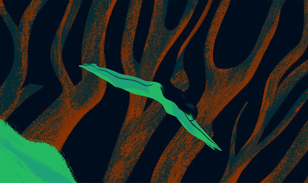 Creature from the Black Lagoon Poster