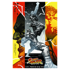 Street Fighter Poster