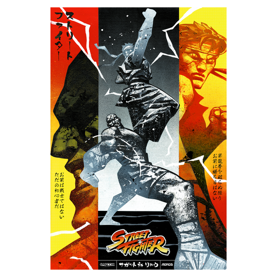 Street Fighter Poster