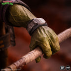 Teenage Mutant Ninja Turtles - Donatello 1/6 Scale Figure - Timed Edition