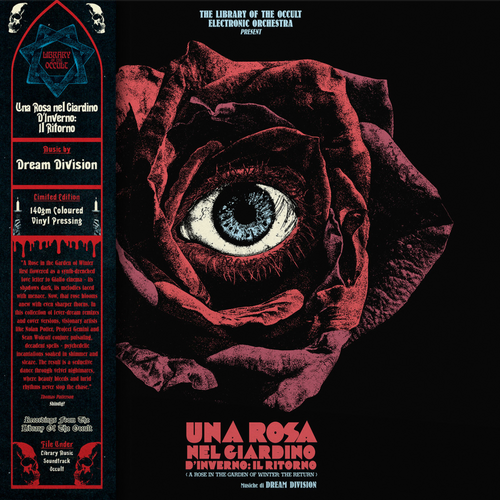 Una Rosa nel Giardino d’Inverno LP by Dream Division