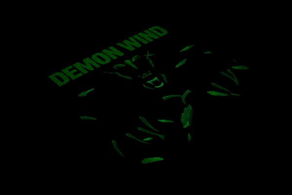 Demon Wind - Original Motion Picture Soundtrack LP Mondo Exclusive