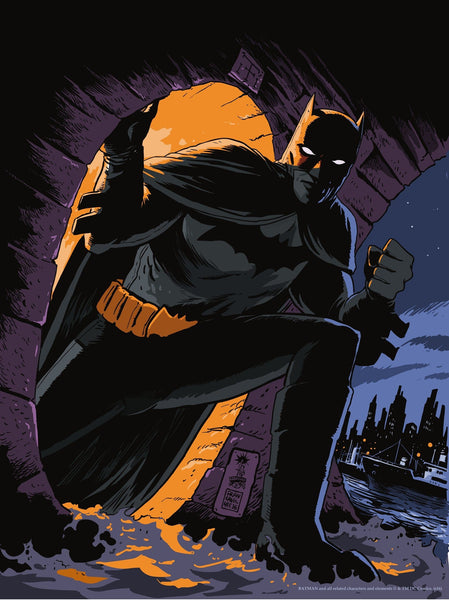 Art of Rocksteady's Batman バットマン　アメコミ Amazon.com: DC Comics Rooftop 60 x 80cm Canvas Prints