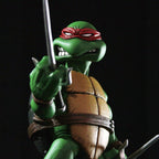 Raphael 1/6 Scale Collectible Figure