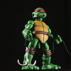 Raphael 1/6 Scale Collectible Figure