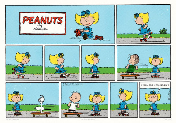 Peanuts Skateboard Poster