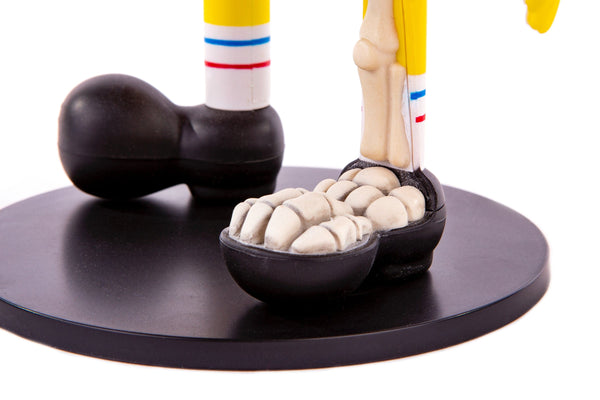 Spongebob Squarepants Dissected Vinyl Figure Exclusive