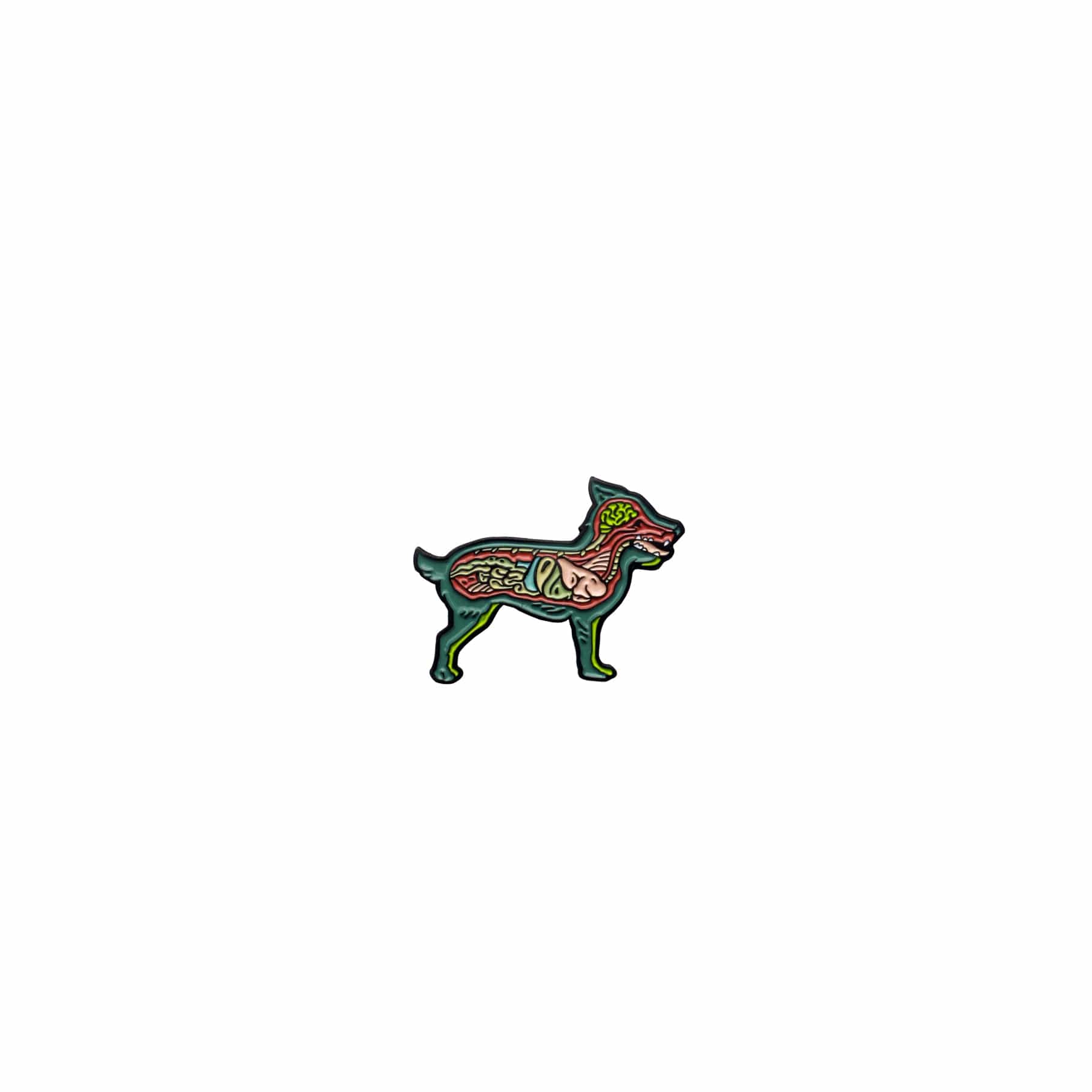 A closer look at What To Do If Dog Eats A Pin
