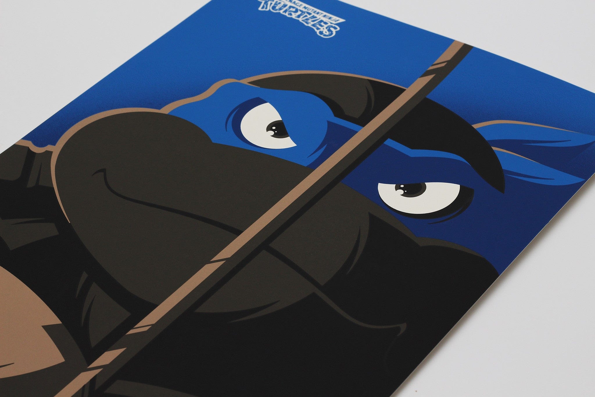 トゥルーアート Turtles in Time Alternate Side Art