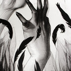 Black Swan
